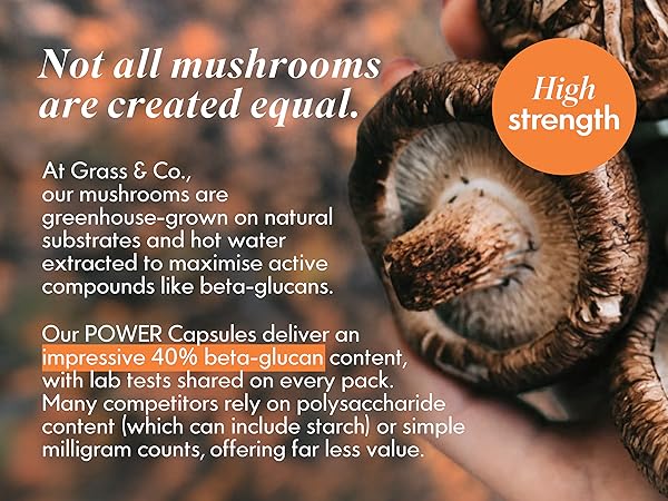 Grass & Co. - Power Shiitake Mushroom Energy Capsules (60 Capsules)