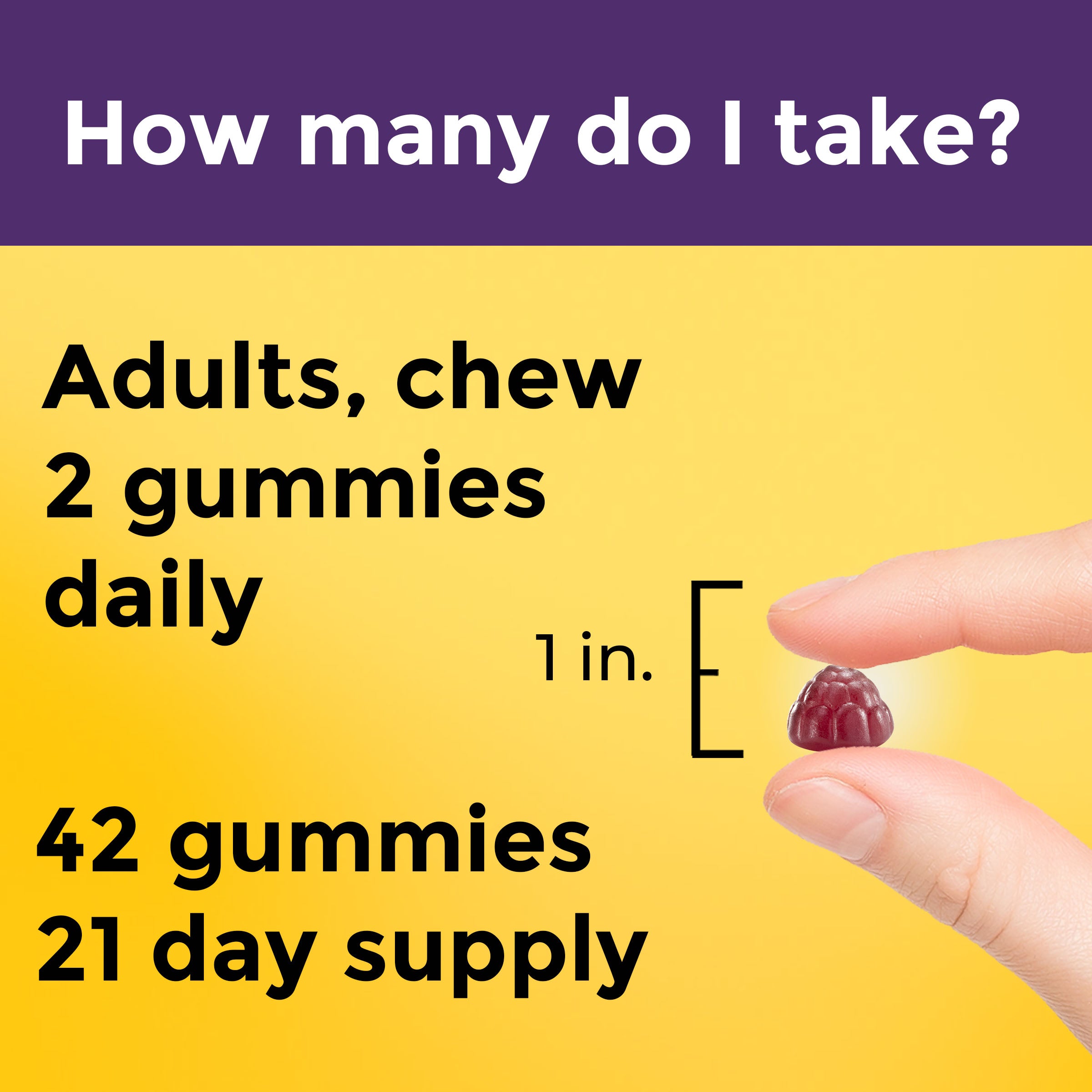 Digestive Probiotics Extra Strength 8 Billion CFU per 2 Gummies