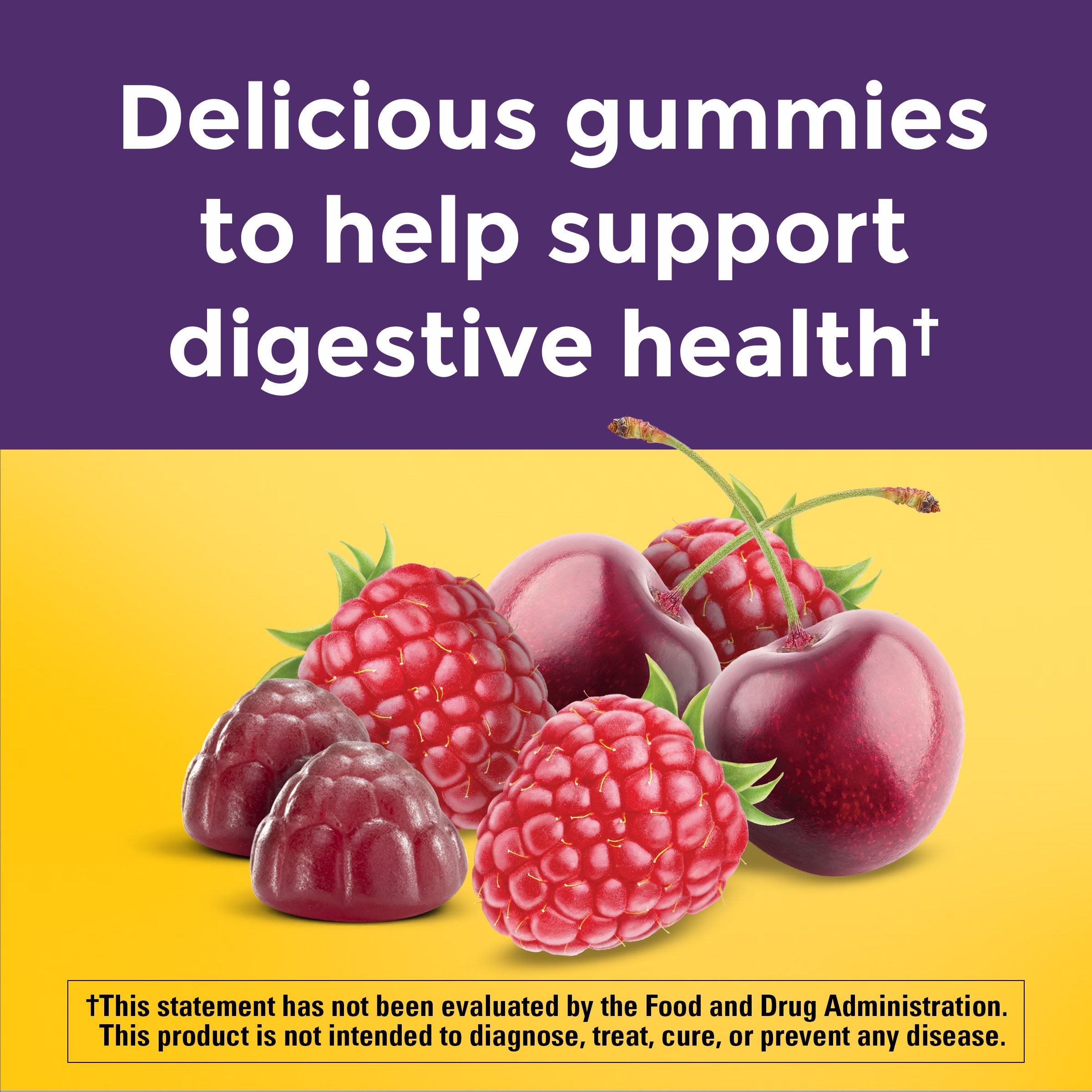 Digestive Probiotics Extra Strength 8 Billion CFU per 2 Gummies