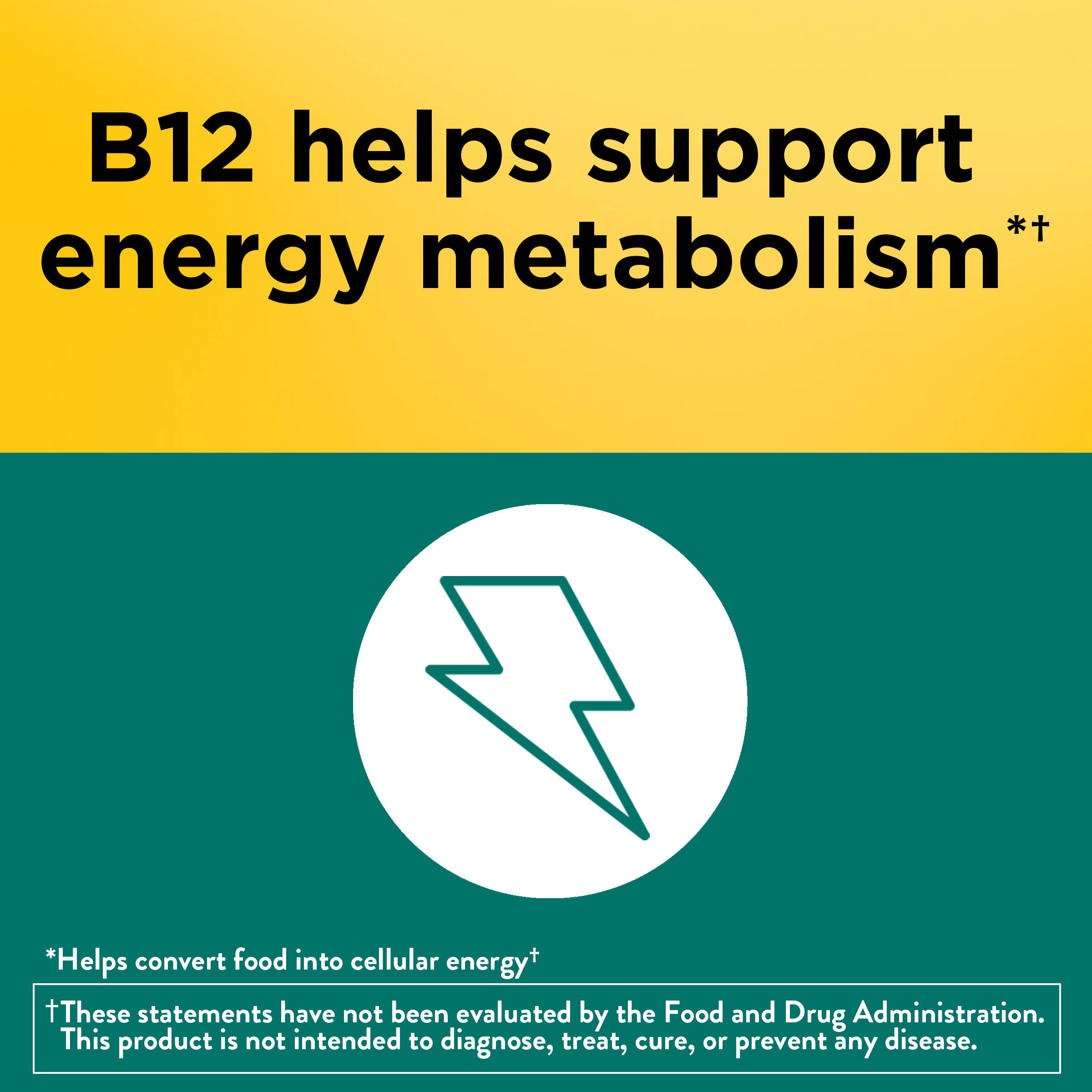 Digestive Probiotics and Energy B12 Gummies