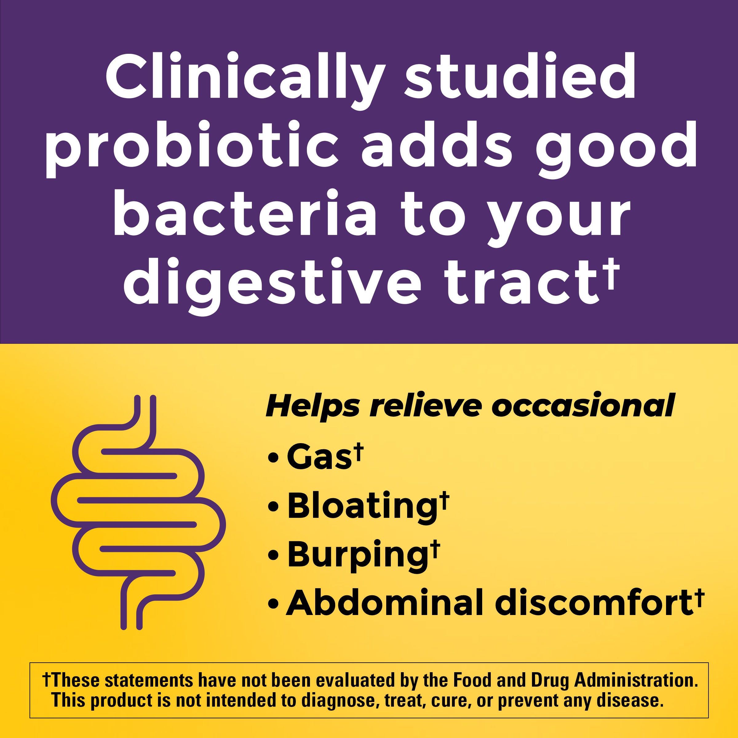 Probiotic + Prebiotic Fiber Gummies