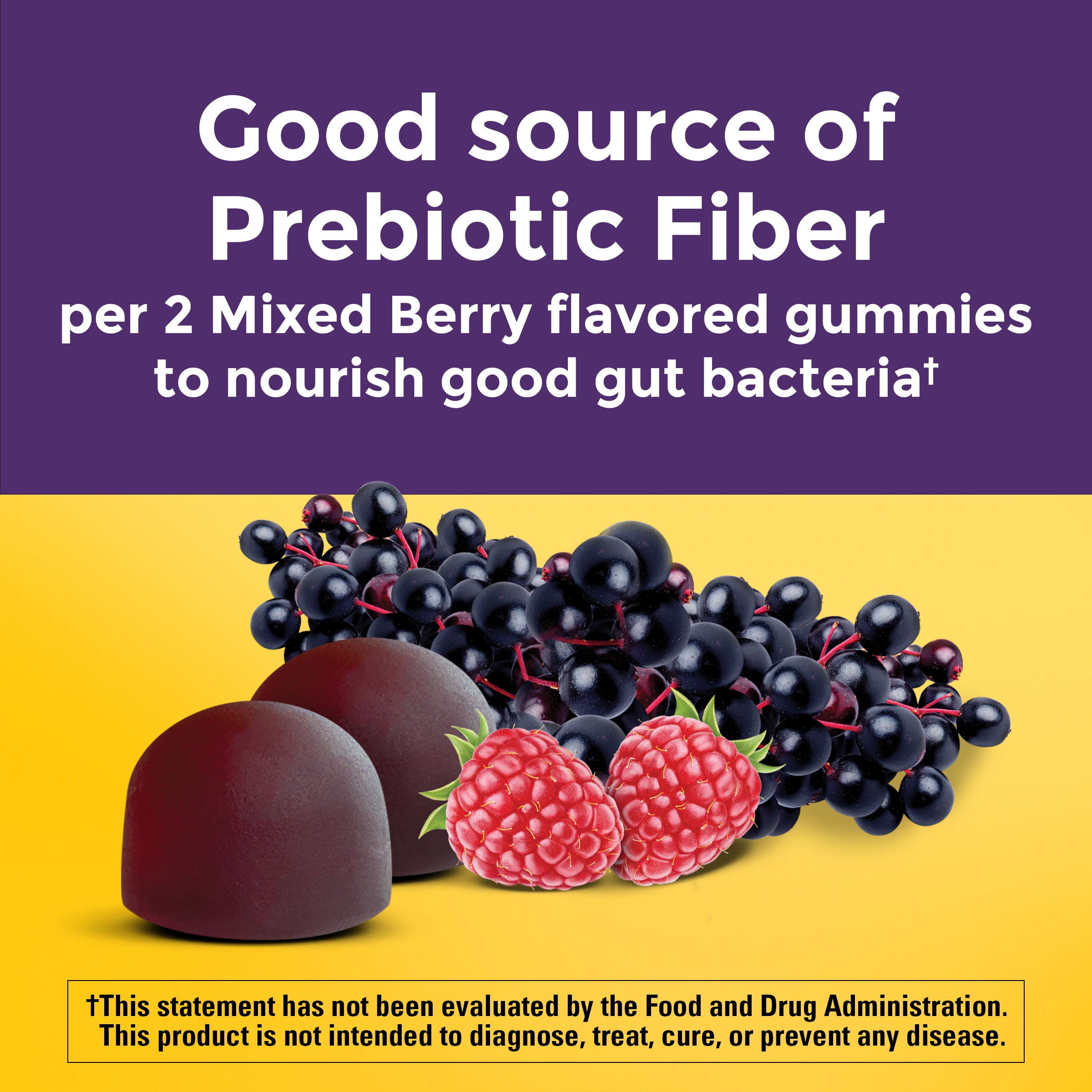 Probiotic + Prebiotic Fiber Gummies